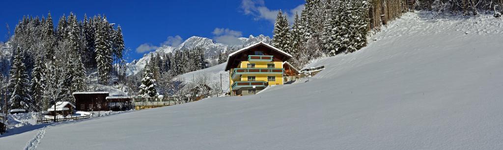 Haus Elisabeth Bed & Breakfast Muhlbach Am Hochkonig Bagian luar foto