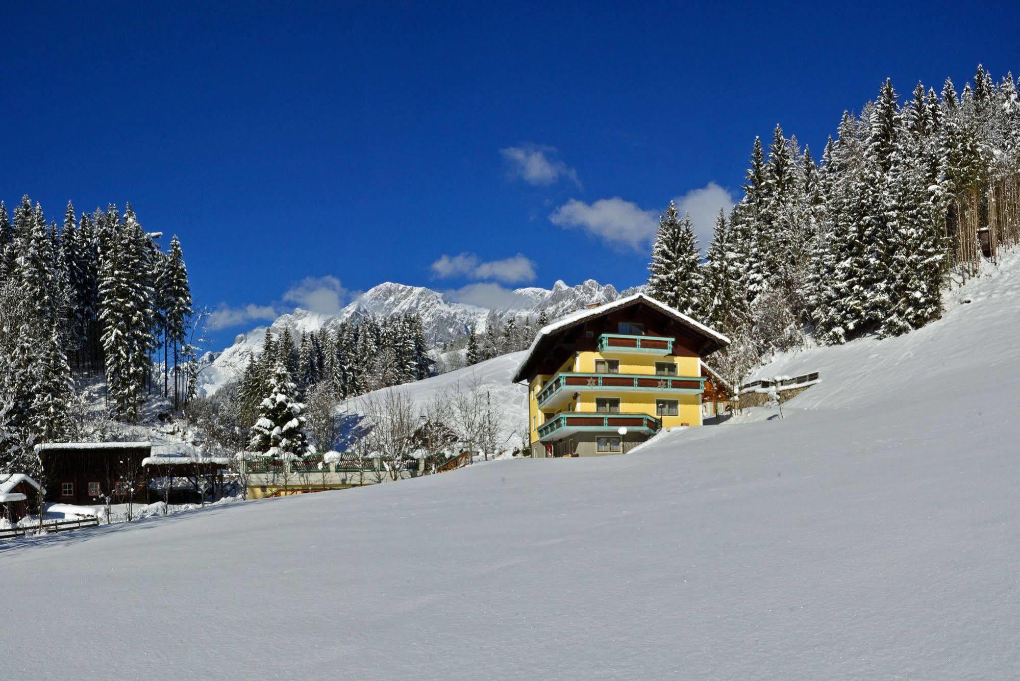 Haus Elisabeth Bed & Breakfast Muhlbach Am Hochkonig Bagian luar foto