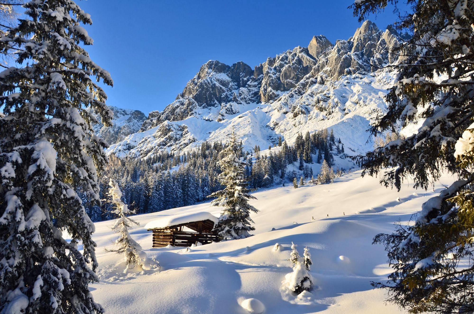 Haus Elisabeth Bed & Breakfast Muhlbach Am Hochkonig Bagian luar foto